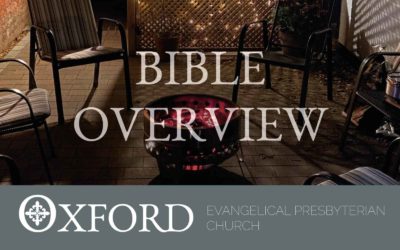 The Search Bible Overview
